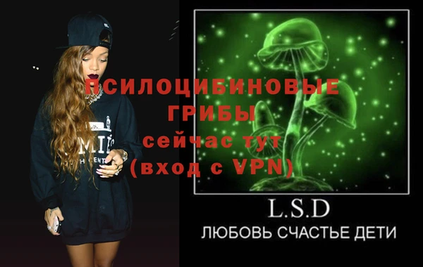 2c-b Алзамай