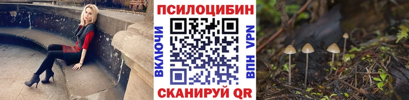Псилоцибиновые грибы мицелий  цена наркотик  Ахтубинск 